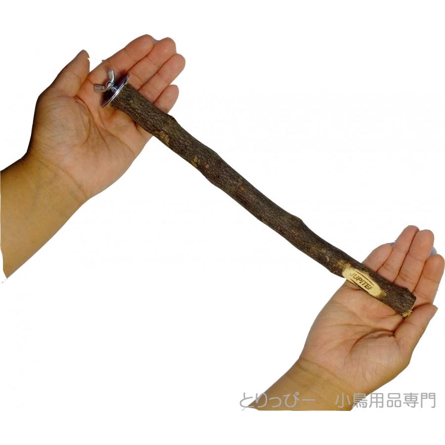 KAWAI ニームパーチ 天然木 止まり木 Mサイズ : とりっぴー小鳥用品