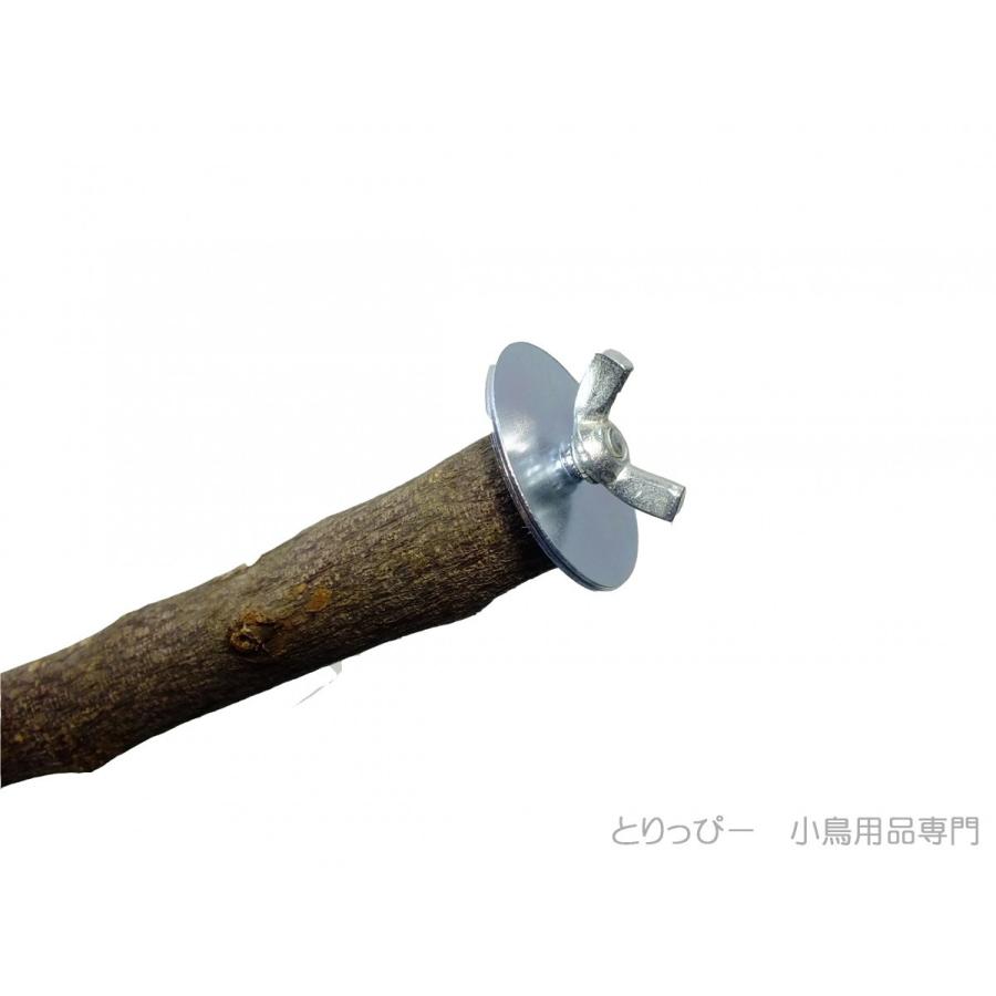 KAWAI ニームパーチ 天然木 止まり木 Mサイズ 鳥用止まり木 : とりっ