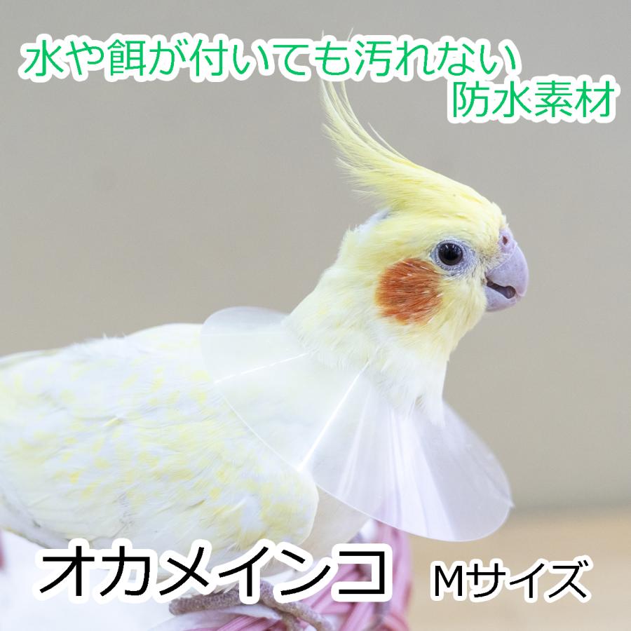 日本製 | インコの軽量薄型エリザベスカラー 各サイズ 防水/半透明