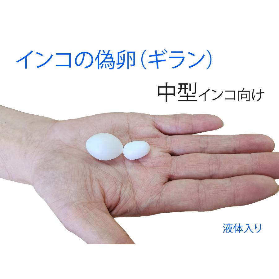 とりっぴー 中型インコ用ギラン(偽卵) 1個 コザクラインコ とりっぴー 中型インコ用ギラン(偽卵) 1個 コザクラインコ
