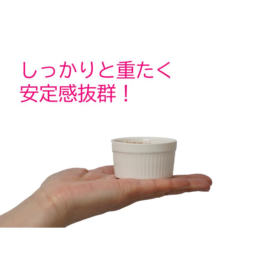 小鳥の倒れない陶器製食器 2個セット エサ皿 水入れ 介護鳥 ヒナ鳥 床