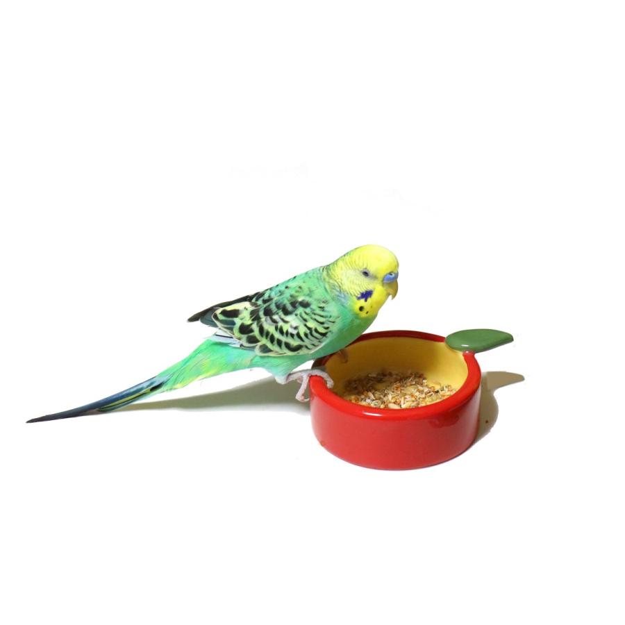 かわいい小動物用食器 フルーツのおさら りんご : とりっぴー かわいい小動物用食器 フルーツのおさら りんご : とりっぴー