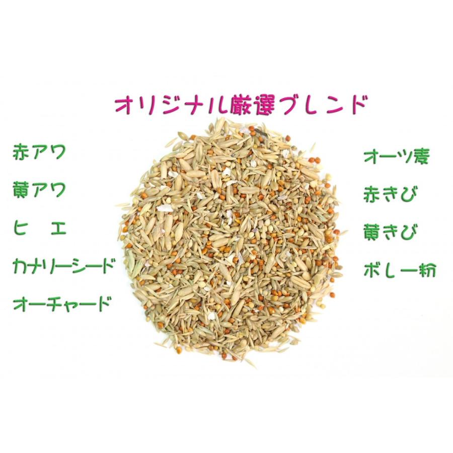 C とりっぴーオリジナル 厳選ブレンド(シードミックス) 600g 文鳥、セキセイインコ〜オカメインコ 鳥のエサ キクスイ グリーンフード F2 M 350g