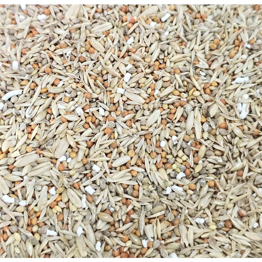 C とりっぴーオリジナル NEW 厳選ブレンドC (シードミックス) 600g