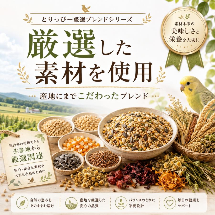 C とりっぴーオリジナル NEW 厳選ブレンドC (シードミックス) 600g