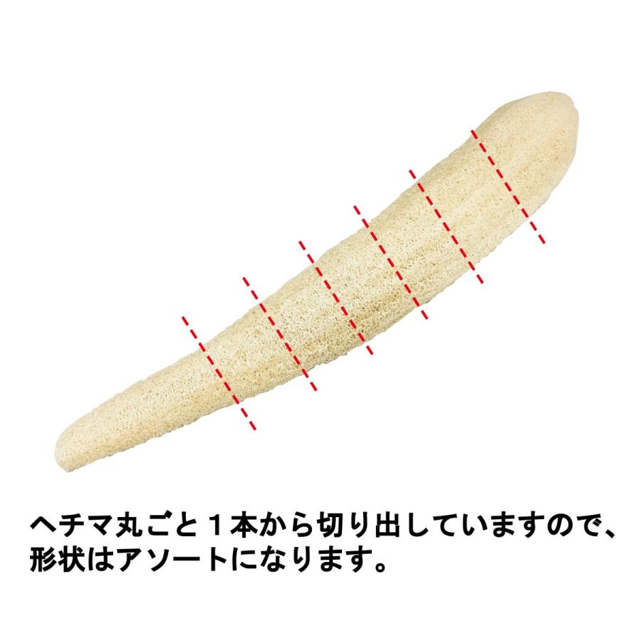 インコのおもちゃ Natural toy 国産無農薬 ヘチマのざく切り : とりっ