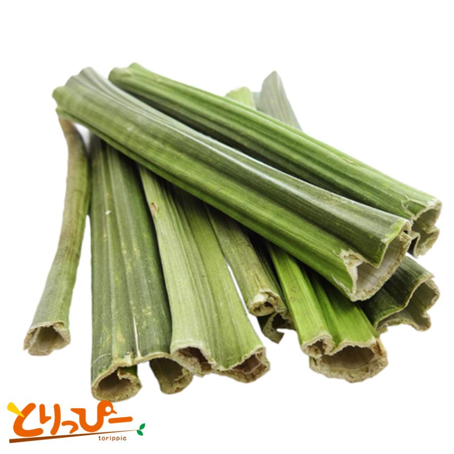 インコのおもちゃ NPF PRO 青パパイヤの茎 25g コザクラインコやボタン