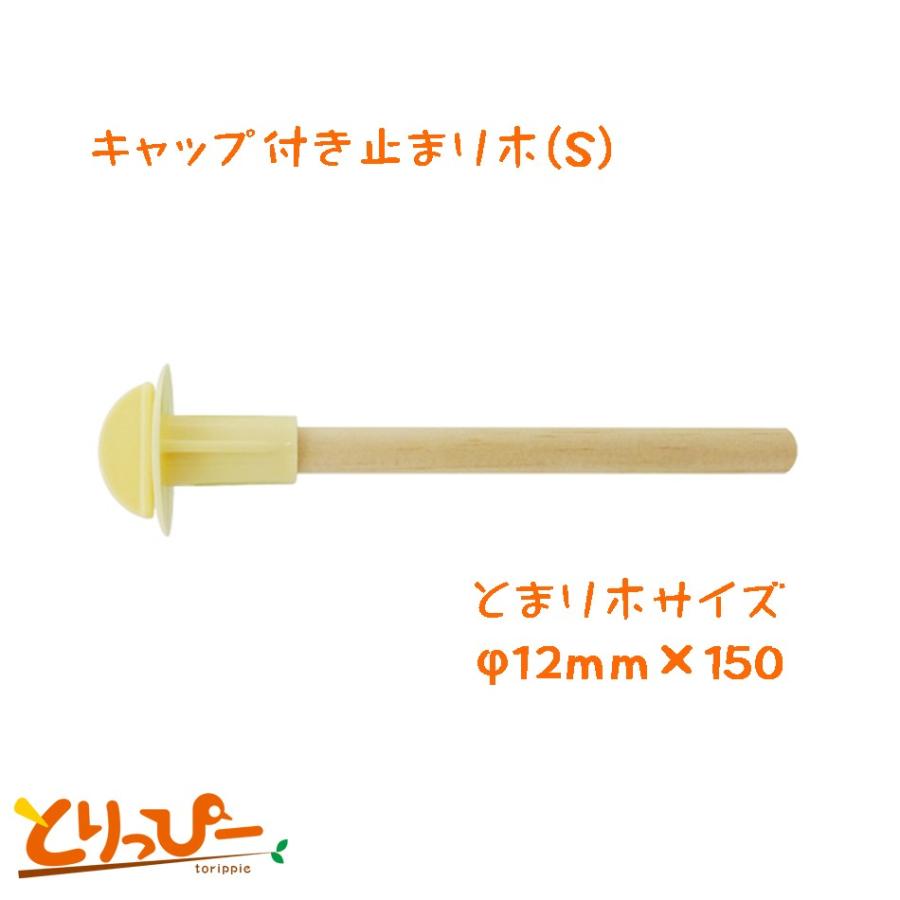 NPF エクセル キャップ付き止まり木S 2本入り : とりっぴー小鳥用品