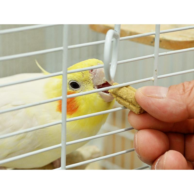 黒瀬ペットフード おやつ感覚サプリメントinこ棒 50g 鳥用サプリ