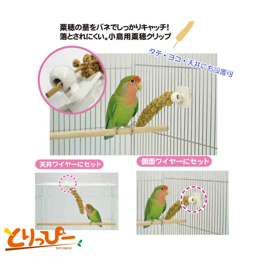 SANKO 小鳥のミレットクリップ B68 小鳥用粟穂クリップ : とりっ SANKO 小鳥のミレットクリップ B68 小鳥用粟穂クリップ : とりっ