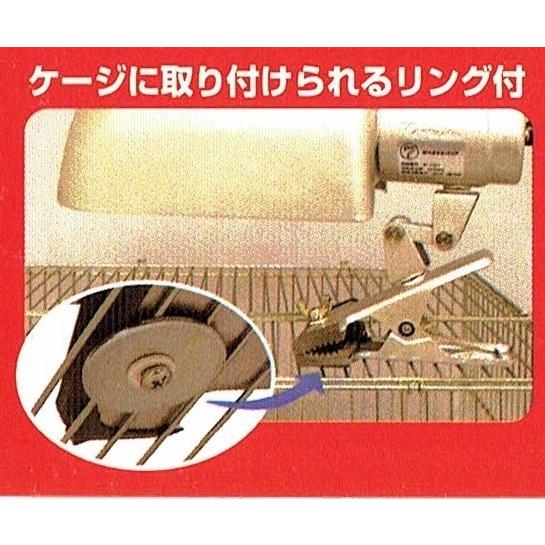 ビバリアLCDペットサーモ（未使用新品）とUVBライト・ソケット他おまけセット！ Amazon | ビバリア LCD ペットサーモ | ビバリア | 保温球・ヒーター