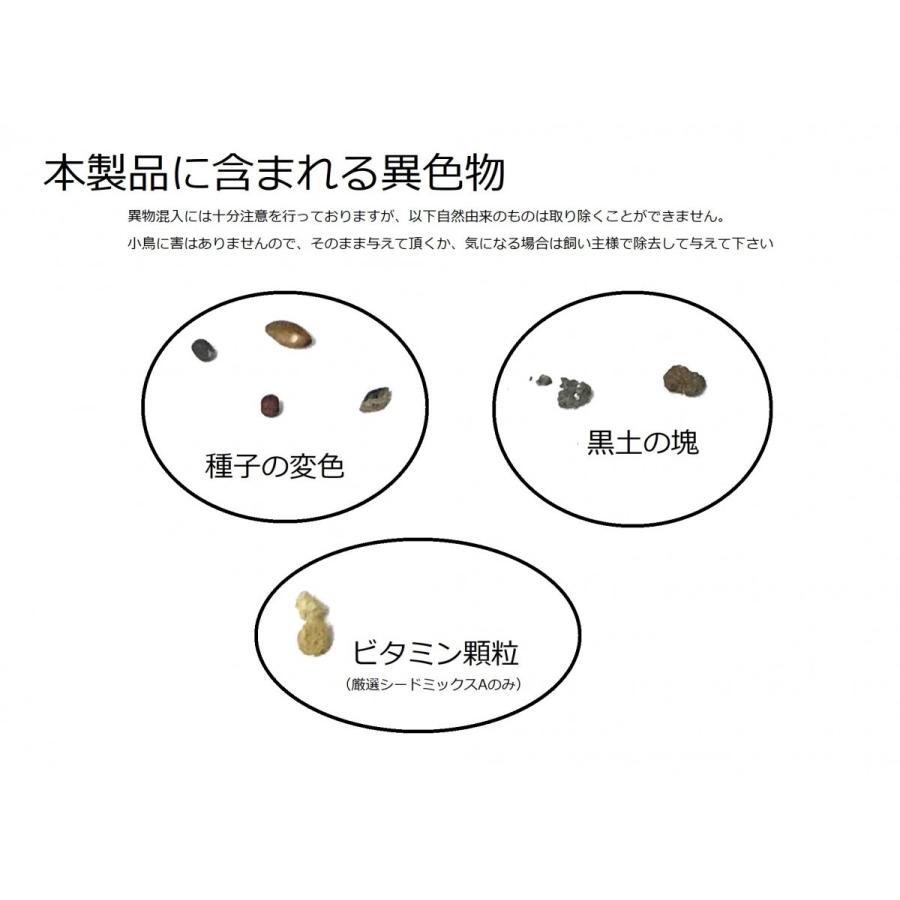 とりっぴーオリジナル 厳選シードミックスb 体重増加 600g 元気を出したい時 繁殖期に 567 357 0 とりっぴー小鳥用品専門店 通販 Yahoo ショッピング