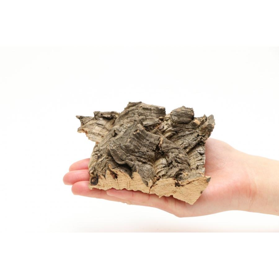 インコのおもちゃ 天然そのまま コルクの木　手洗い洗浄済み |  | 01