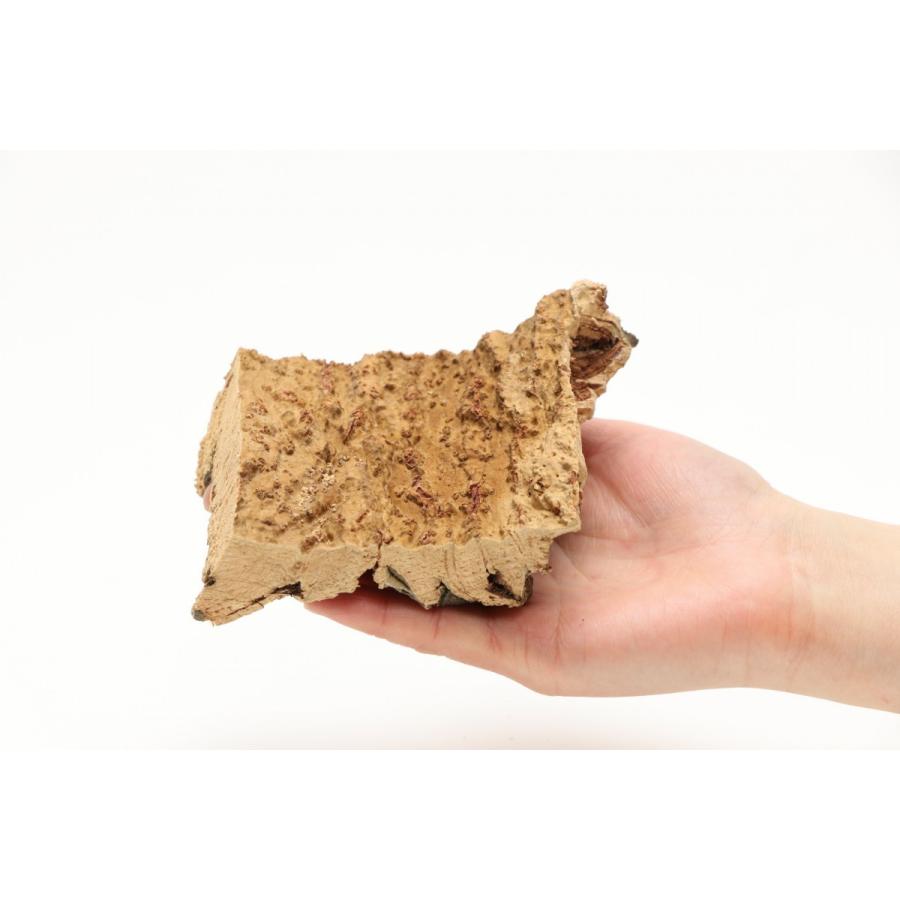 インコのおもちゃ 天然そのまま コルクの木　手洗い洗浄済み |  | 02