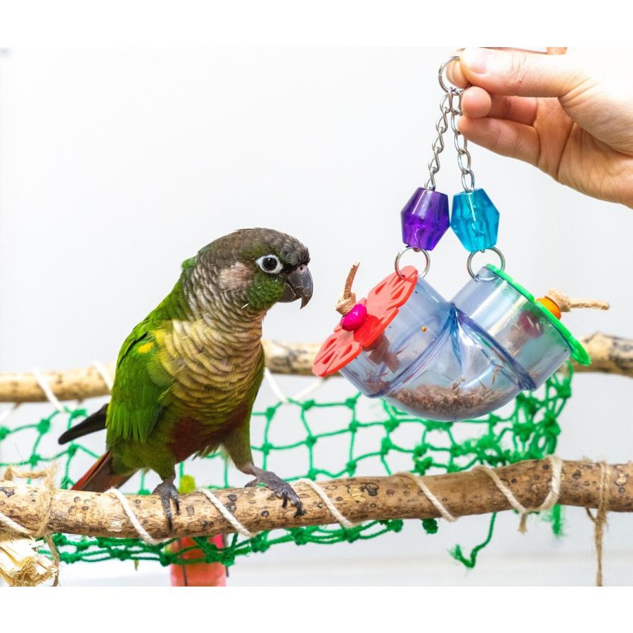 インコのおもちゃ フォージング ミディアムバード ALOHA HEAVEN(アロハ