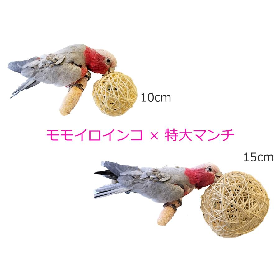 インコのおもちゃ 天然ラタンボール/マンチボール 超特大サイズ 15cm