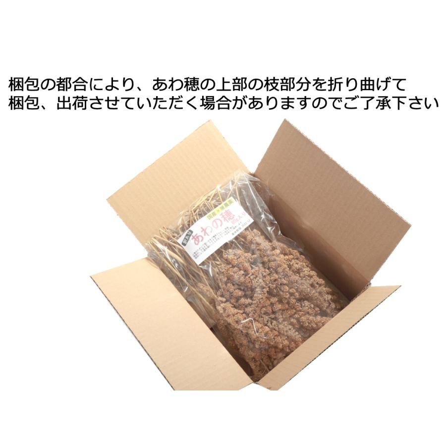 国産 無農薬栽培 あわの穂 80g 訳ありアウトレット品 日本産粟穂 数量限定 商い