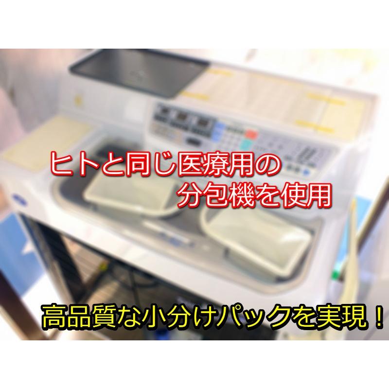 S 鳥類総合ビタミン バードサプリS 30日分包タイプ :nekton-30:とりっぴー小鳥用品専門店 - 通販 - Yahoo!ショッピング S 鳥類総合ビタミン バードサプリS 30日分包タイプ :nekton-30:とりっぴー小鳥用品専門店 - 通販 - Yahoo!ショッピング
