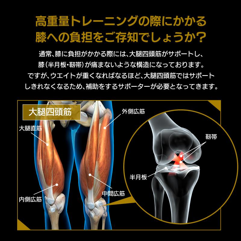 ALLOUT公式 IFBB Pro湯浅幸大選手監修 膝サポーター ニースリーブ  筋トレ ウェイトトレーニング  スポーツ ひざ 膝サポーター ポイント利用 爆買 | ALL OUT | 05