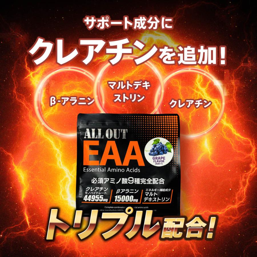 ALLOUT公式 EAA 必須アミノ酸9種配合 サプリ βアラニン配合 500g 国産 グレープ パイン ポイント利用 爆買 |  | 10