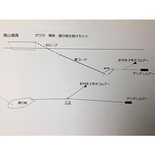 鳥山ルアー トローリング サワラ 青物潜航板仕掛け７号セット Skbst007w011 鳥山漁具店 通販 Yahoo ショッピング