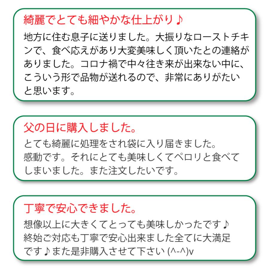名作 送料無料 若鶏 ローストチキン 5本セット Atrakcionai Lt