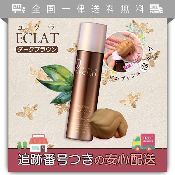 ヘアボーテ エクラ ボタニカル エアカラーフォーム ダークブラウン 150g 白髪染め :co00081:Tornadeヤフー店 - 通販