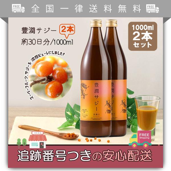 豊潤サジー 1000ml 2本セット 紙パック フィネス オーガニックサジー原料 ビタミンC 鉄分 100%天然 :co00084