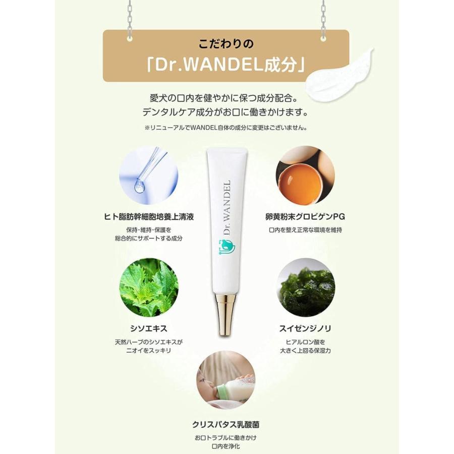 最安値挑戦 Dr Wandel ドクターワンデル 30g 1ヶ月分 愛犬用 デンタル ケア ジェル 犬 歯磨き 口臭ケア 歯石 ケア 乳酸菌配合 海外正規品 Www Aqtsolutions Com