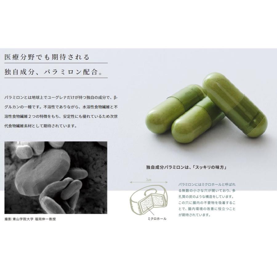 GREEN POT plus グリーンポット プラス キーサプリ 90粒 30日分