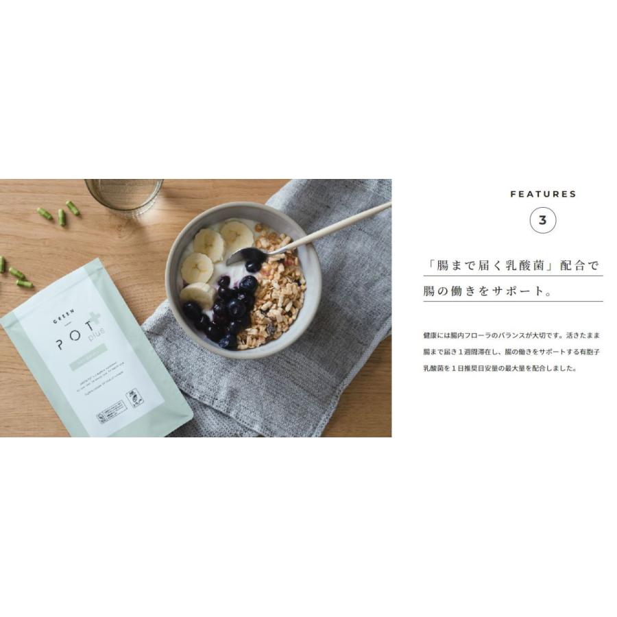GREEN POT plus グリーンポット プラス キーサプリ 90粒 30日分