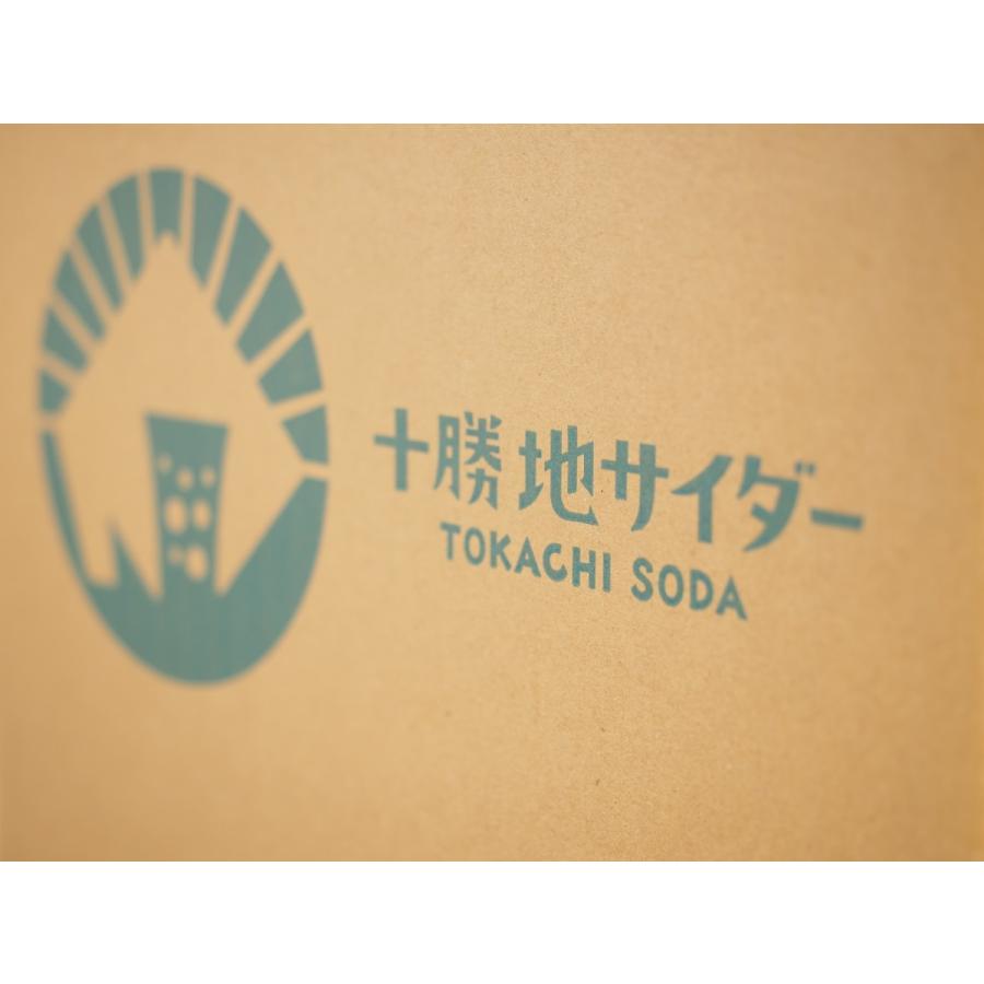 広尾しおサイダー 12本セット　送料無料　/ 十勝地サイダー 北海道 十勝 広尾町 サイダー お取り寄せ ギフト ご当地 お土産 プレゼント | 十勝地サイダー | 04