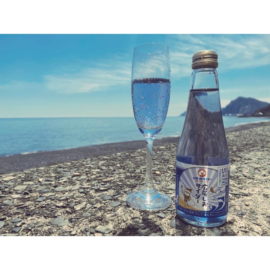 ੯•`໒とみページ　北投石さざれ　ポーチ付き　50ｇ　2点 純喫茶7ふしぎ from NEKOBU ゼリーのお魚が泳ぐ ソーダフロート