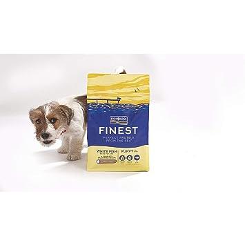 フィッシュ4ドッグ FISH 4 DOGS ドッグフード ファイネスト パピー 6kg フィッシュ4ドッグ ファイネスト 16％