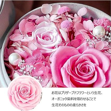 新作マット・カーペット プリザーブドフラワー 可愛い 枯れない 花 バラ ローズ 薔薇 アジサイ 3カラー ロマンティック おしゃれ ガラスドーム LEDライト付き 【H1582105182】(9893円)