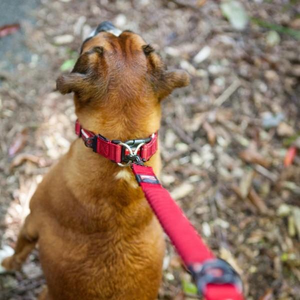 EZYDOG（イージードッグ） ゼロショック ショート リーシュ 中型犬用