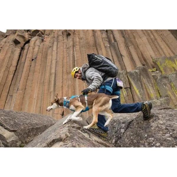 ラフウェア ハーネス 犬ハーネス ハンドル フラッグラインハーネス 小型犬ハーネス 中型犬ハーネス 大型犬ハーネス 犬軽量ハーネス  正規品　【在庫限り】｜torusdogmartyokohama｜13