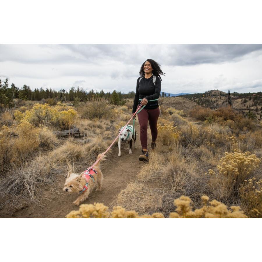 ラフウェア ハーネス 犬ハーネス ハンドル フラッグラインハーネス 小型犬ハーネス 中型犬ハーネス 大型犬ハーネス 犬軽量ハーネス  正規品　【在庫限り】｜torusdogmartyokohama｜15