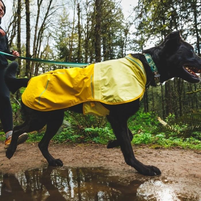 ラフウェア フロントレンジカラー 小型犬用 中型犬用 S-Mサイズ