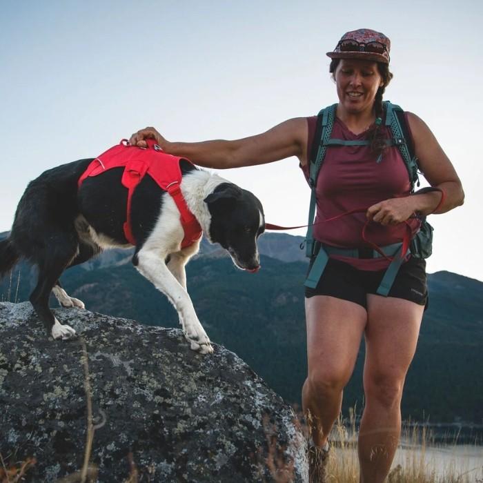 RUFFWEAR ウェブマスターハーネス 【日本正規品】 (M, レッドカラント Amazon | RUFFWEAR ウェブマスターハーネス レッドカラント XXS