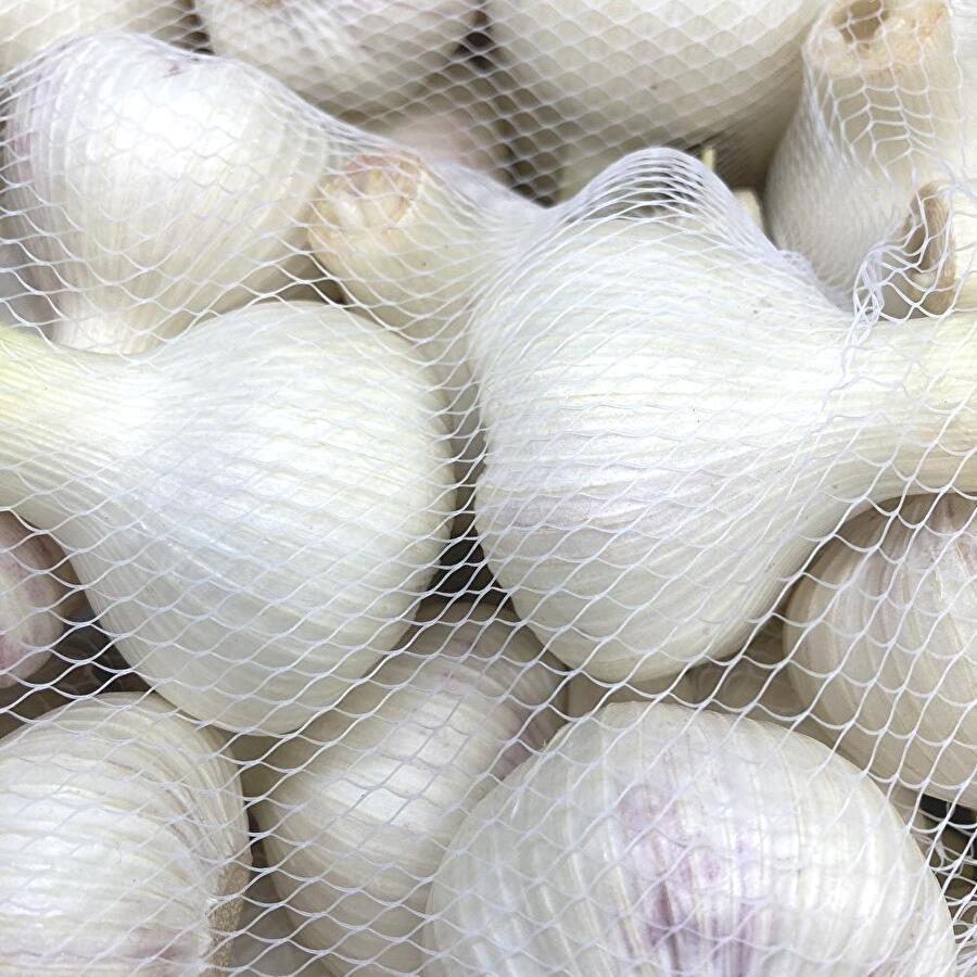高知県産 生 新にんにく Lサイズ 約3kg 今年収穫分 生ニンニク 新