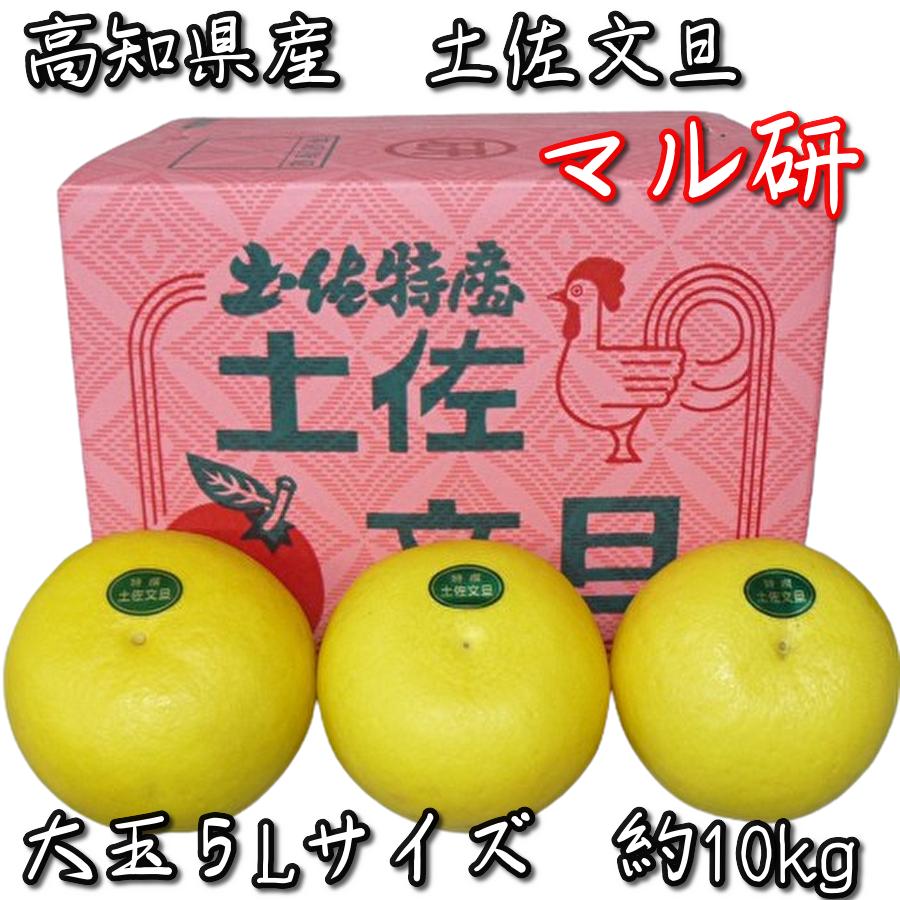 土佐文旦トップレベル 赤箱 丸研】高知県産 土佐文旦 (ぶんたん 土佐文旦トップレベル 赤箱 丸研】高知県産 土佐文旦 (ぶんたん