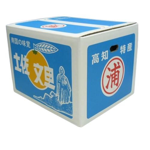 高知県産 土佐文旦(ぶんたん) マル浦 超大玉 5Lサイズ 約10kg 高知県産 土佐文旦(ぶんたん) マル浦 超大玉 5Lサイズ 約10kg