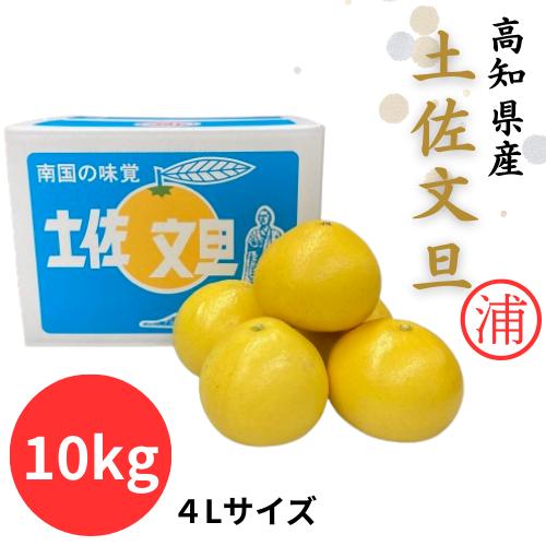 きょん　高知特産　土佐文旦　4Lサイズ限定大玉サイズ　約20㎏ きょん様専用 高知特産 土佐文旦 4Lサイズ限定大玉サイズ 約20