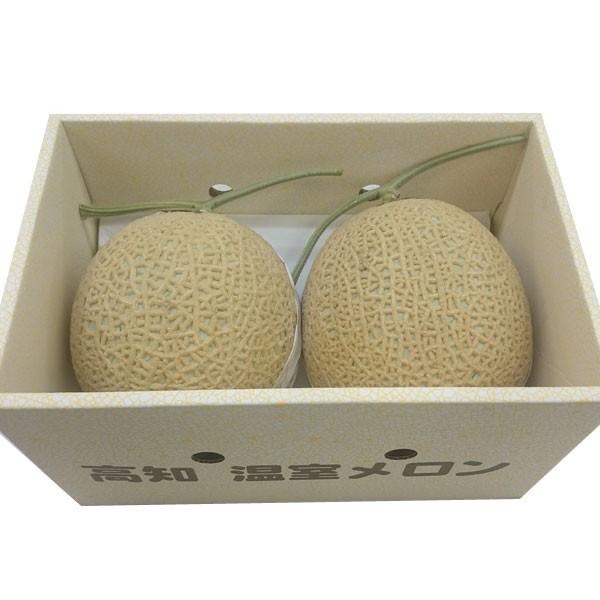 M*o様 高知県産　マスクメロン 5玉入り 約9.9㎏（下箱込み） 6月中旬発送予約】メロン 近澤さんのとろけるマスクメロン 1玉 高知県