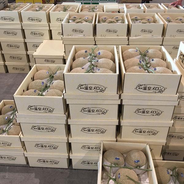 お歳暮・ギフトに最適】高知県産 化粧箱入り マスクメロン 2玉入り 約