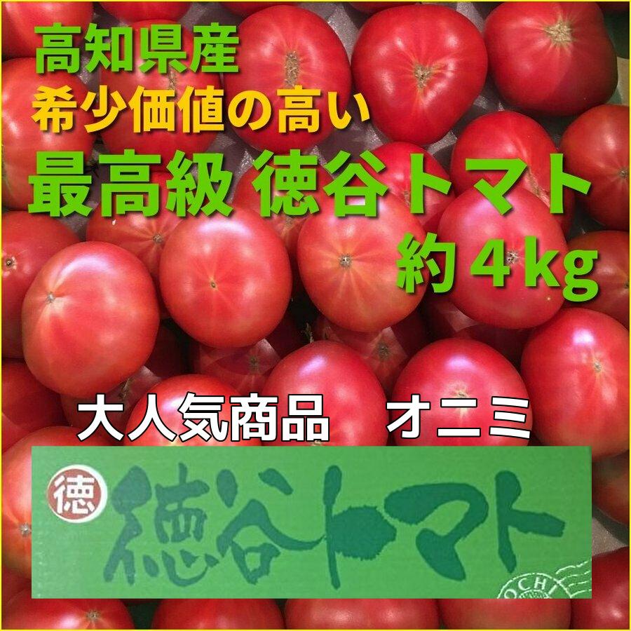 贈呈 ご家庭用 高知県産 徳谷トマト 希少価値の高い最高級フルーツトマト ふぞろい オニミ たっぷり4kg Wantannas Go Id