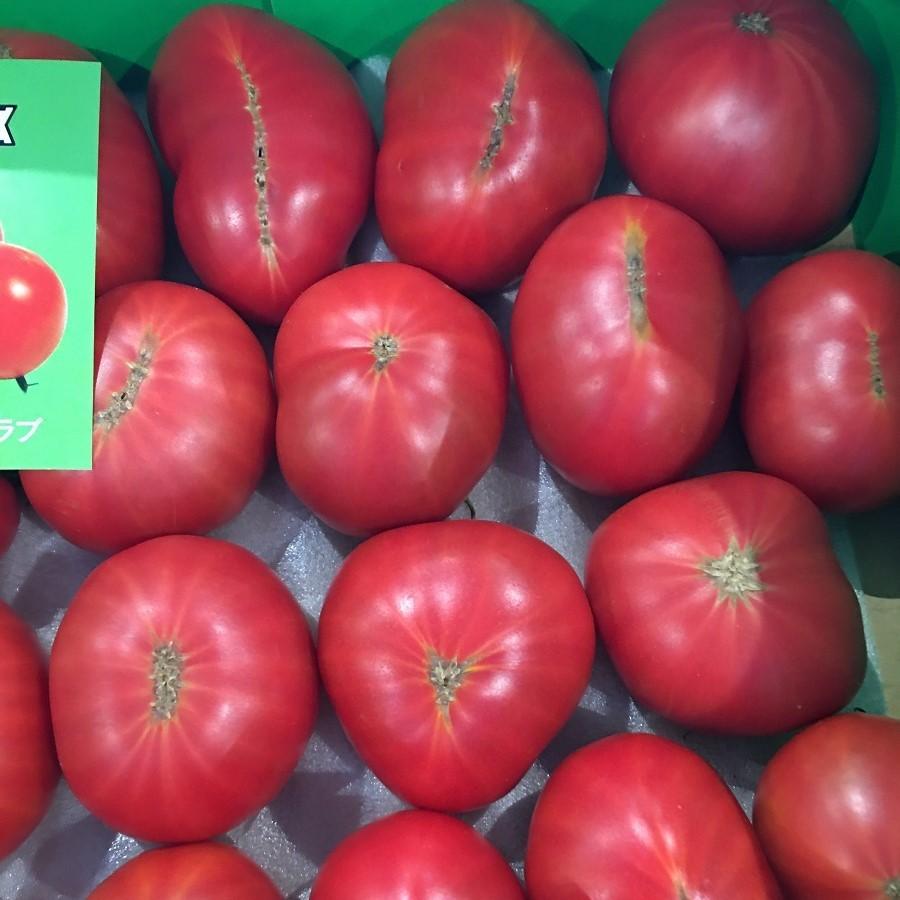 高知県産 徳谷トマト 希少価値の高い最高級フルーツトマト ふぞろい オニミ たっぷり4kg Onimitomato 002 土佐うまいもん市場カウウル 通販 Yahoo ショッピング