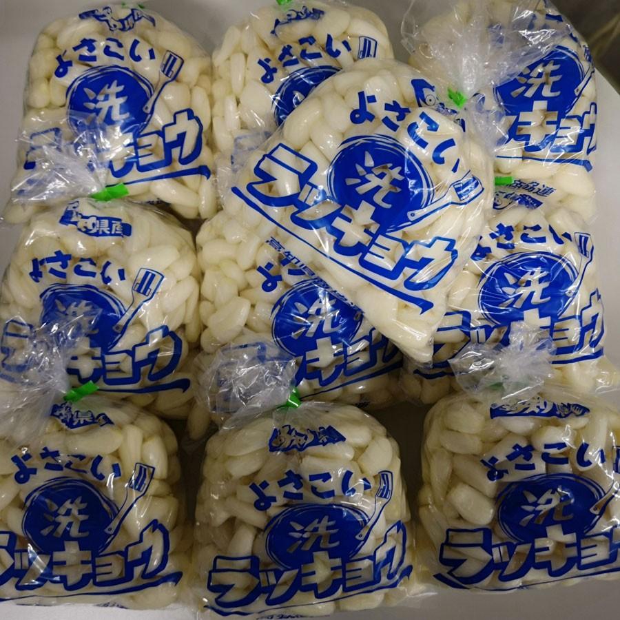 高知県産 よさこい 洗ラッキョウ 10kg入り : 土佐うまいもん市場