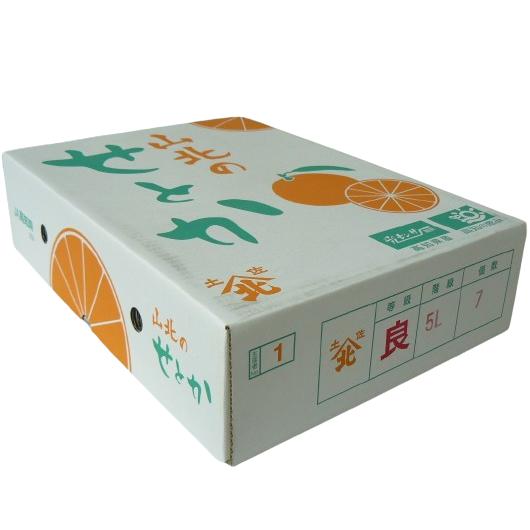 高知県産 せとか 4L〜5Lサイズ 約7玉〜8玉入り 【ご贈答用にも最適